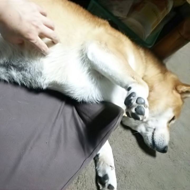 763bcf48 55ca 4596 8030 ca59162abc2f