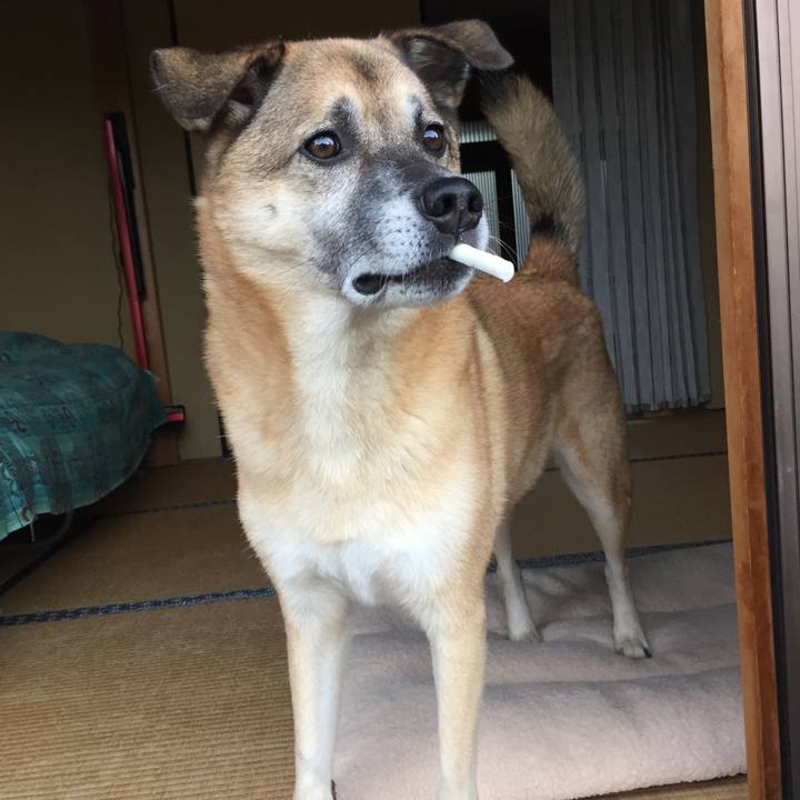 763c7cd7 8a1f 4d99 be87 bdfad89c7745