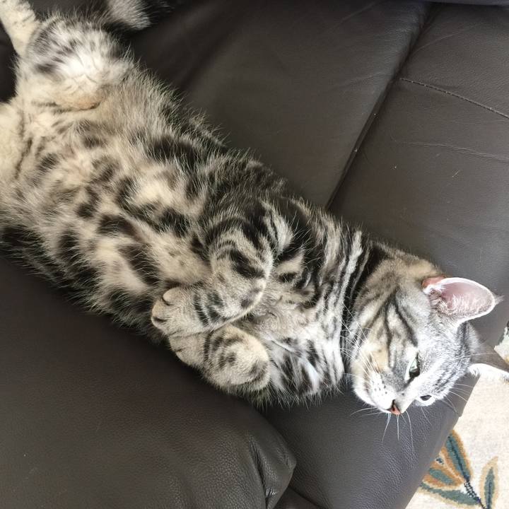 763d524f e3ac 4b5b b980 56b70d02f653