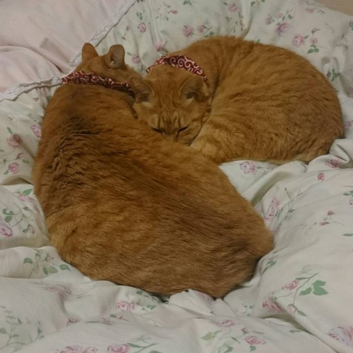 763db608 6470 4937 9d6f cd5a37133f70