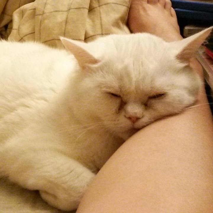 763db85e e65f 41d9 a274 05a253f2e137