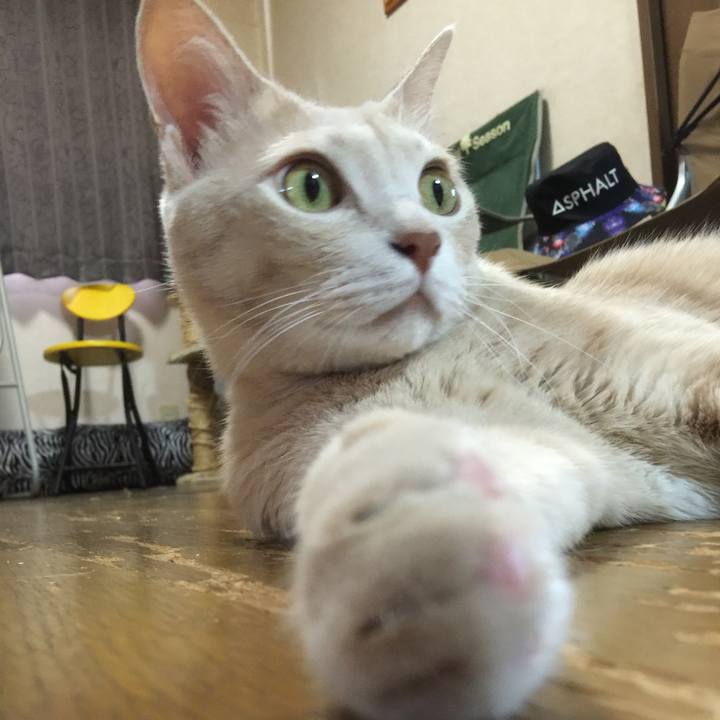 763dcc50 7811 469b 87fc 40ed4e438d60