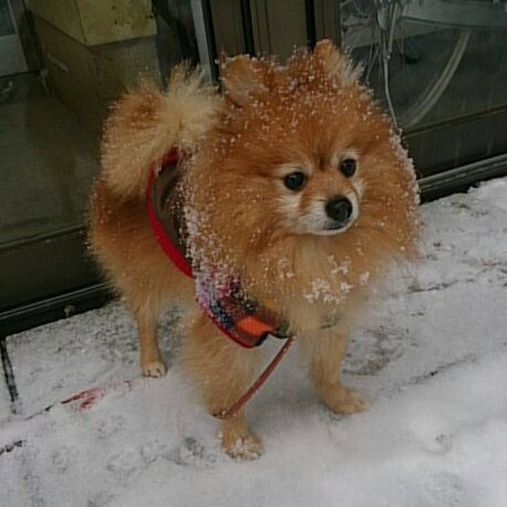 763e43db d16c 4351 b887 c590828a8649