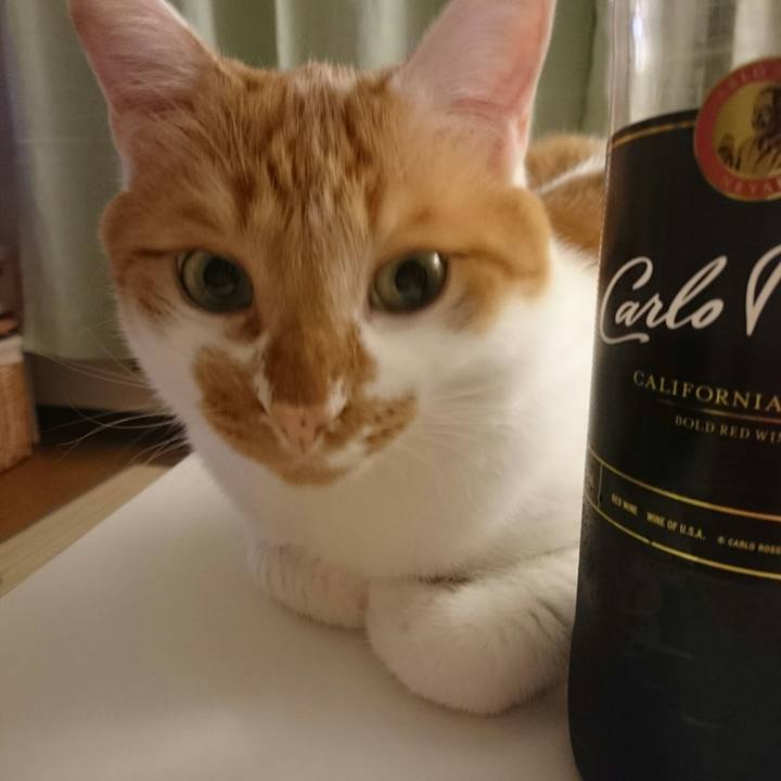 763f3e7b 7f69 4f15 a7e3 bee29e8d05c9