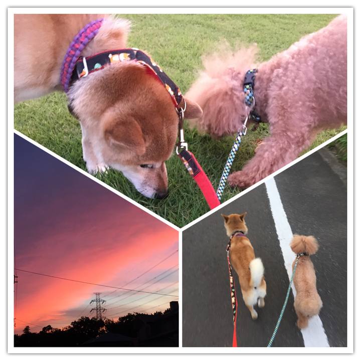 763ff1e5 2f69 4a43 bacc 15c0315f3402