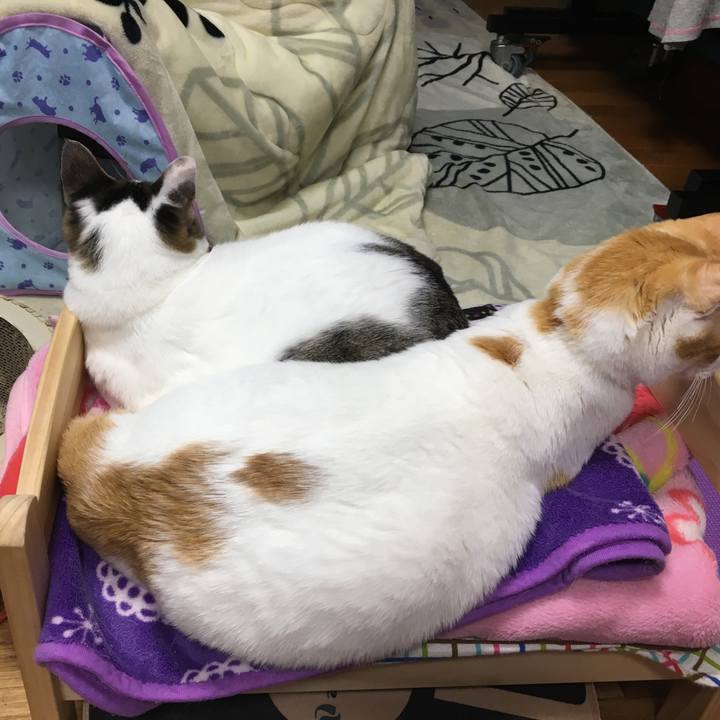 763ff57c a84a 4364 b928 6e6cf1c6484f