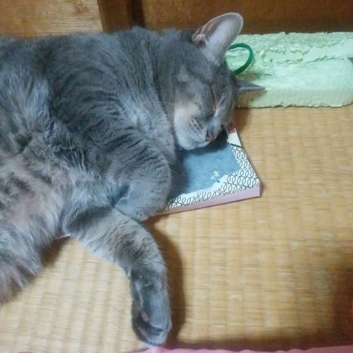 76404d7f 97a6 4c1d 9fc6 7f65cf0d3685