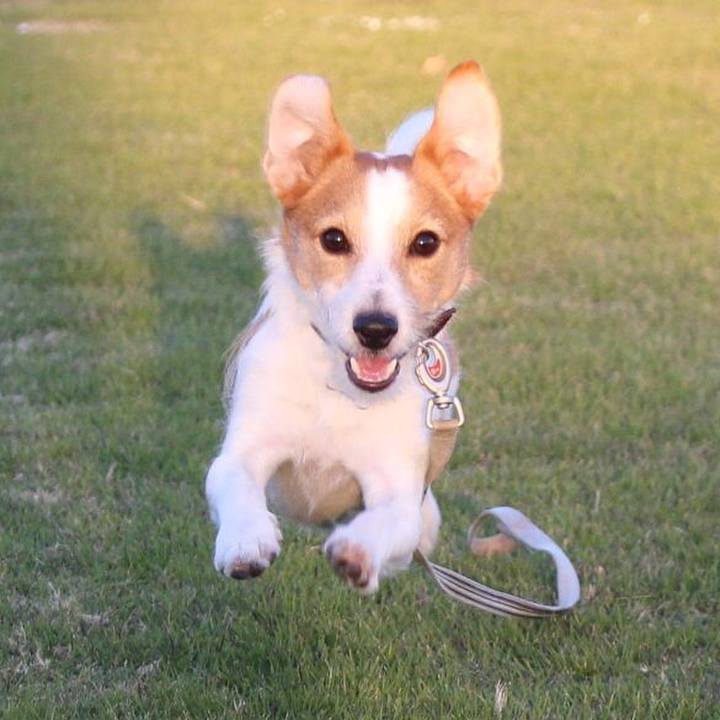 764085e1 f04e 4c60 9ba3 b228708a90c4