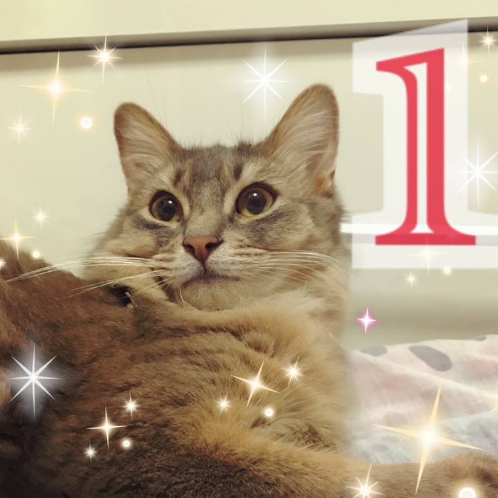 76424d77 f8e5 40f4 94be d5ba34b4f20e