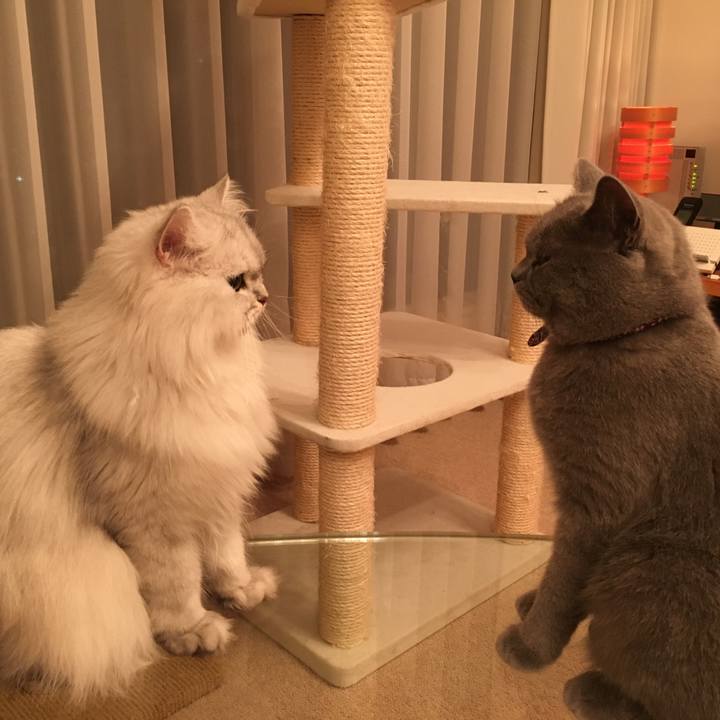 764333b0 e85f 431f b987 79ebf5d80bf9