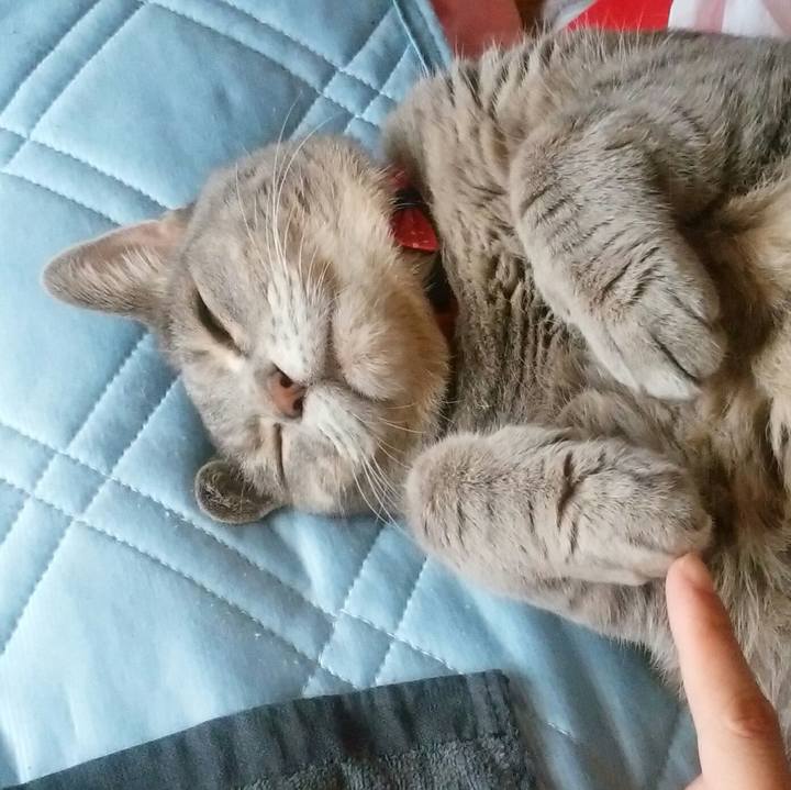 764529f4 ecd0 4e63 baa5 34b581f13f36