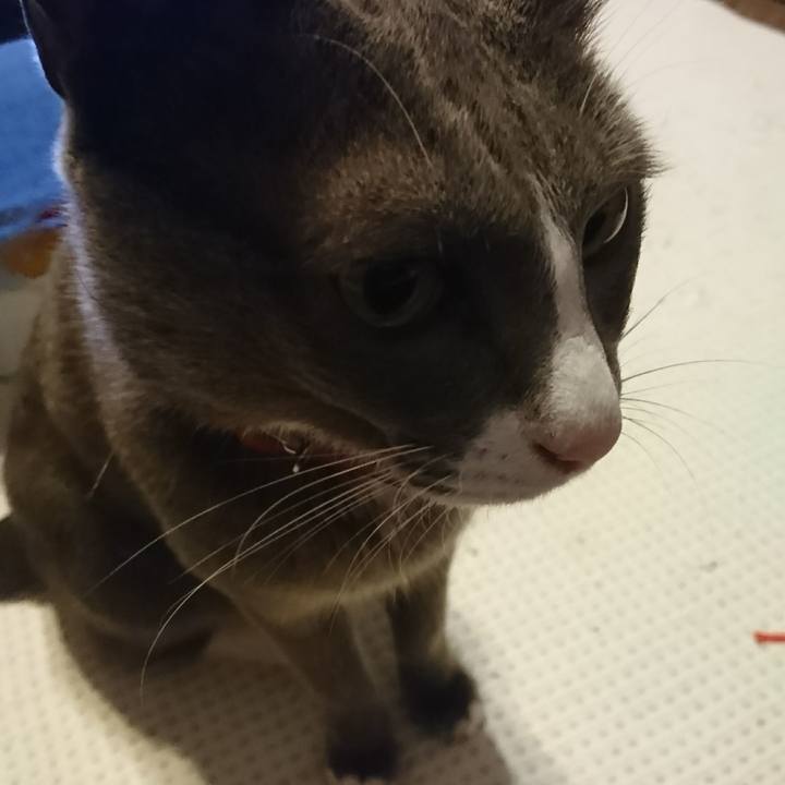 764595ca 47c8 468f 91d5 d8b81e5db072