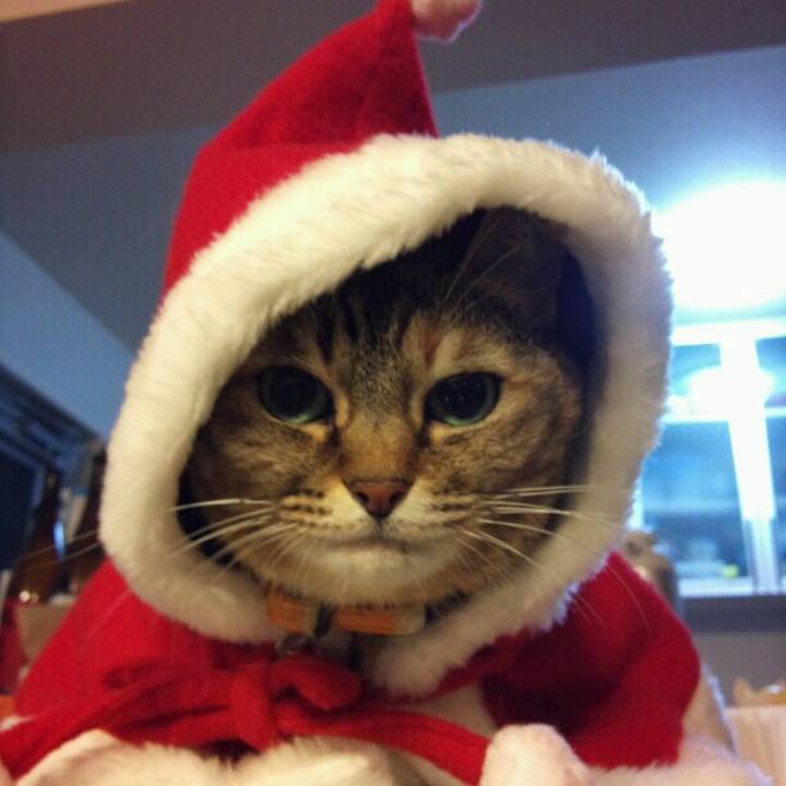 7645c3ac cfe3 41bd 90e9 eab1de06200a