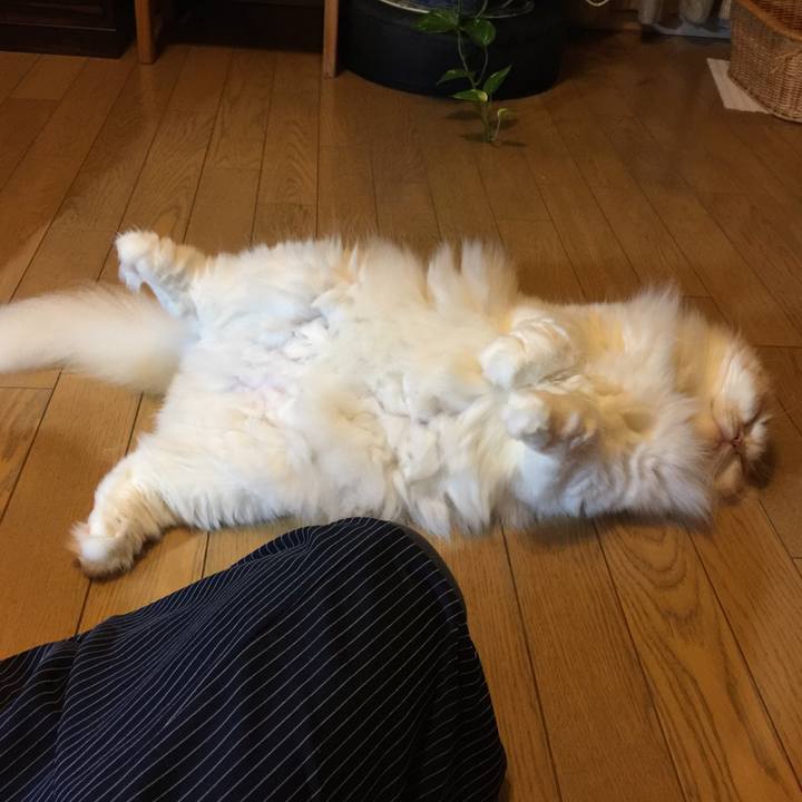 7645fb09 857e 45ae 8a10 8e9765a84be3