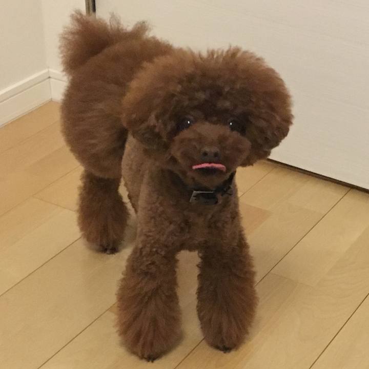 76460eb9 5ba2 4257 9206 d9b068bc78b6