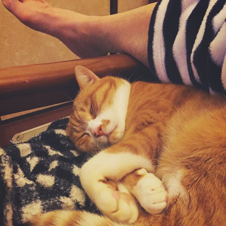 764614a7 2adc 4be4 b054 26d5a2c6e707