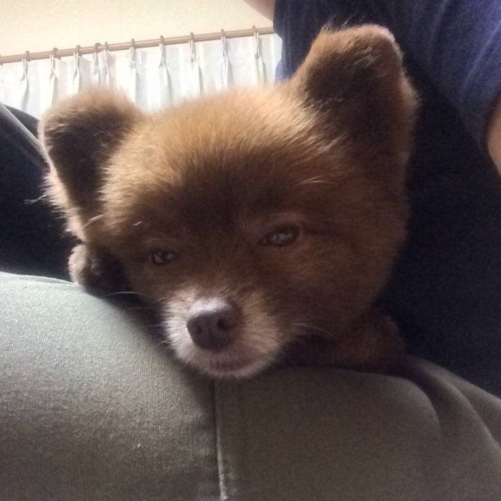 76462e4d f0df 424a 9b96 5369248e760d