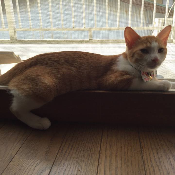 76466e99 7ea7 4041 a69c 2069fa6a28b4