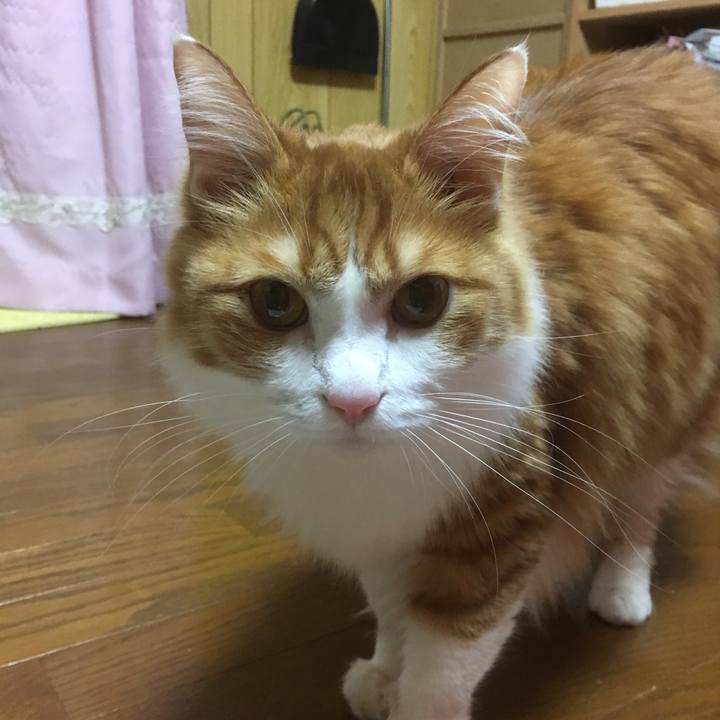 7647366b 3e79 4279 b6e6 6cbb2a7b45e8