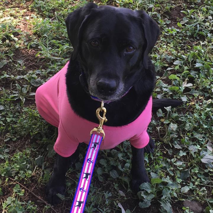 76474d20 07d7 4f81 a77f 5e9b283dfb98