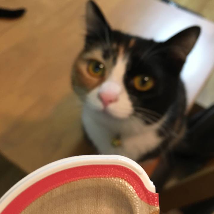 7647798e a886 4680 bb96 0351c139c057