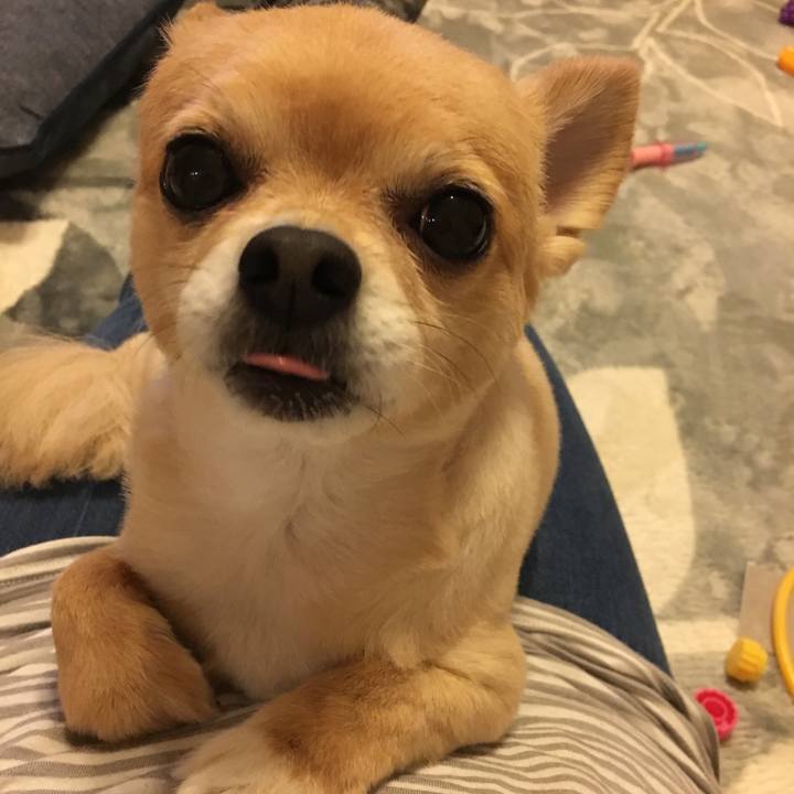 76479911 8d68 4aa7 8bce 61322d2e489a