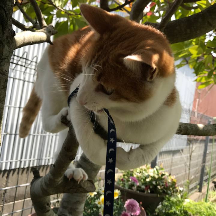 7647b602 b048 41b5 93a1 c4726dbcd3ad