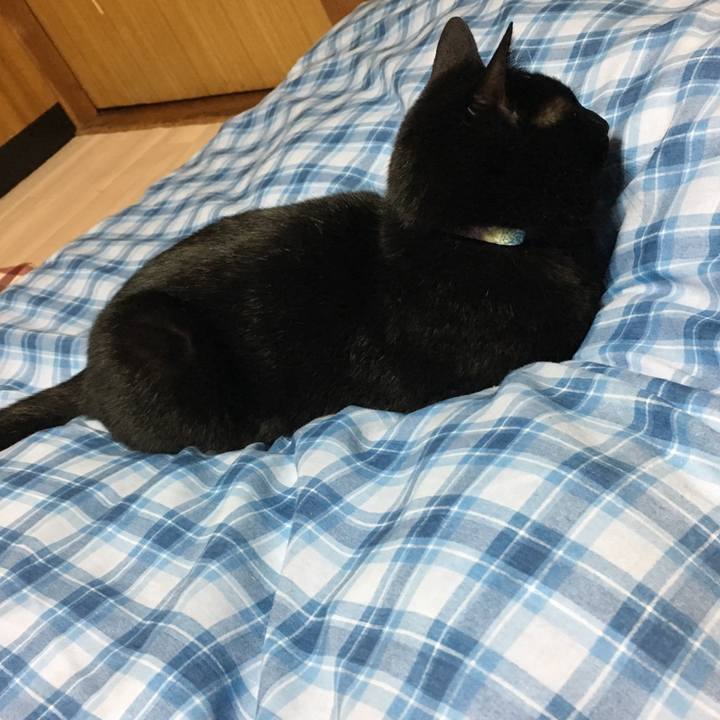 764812ee 15b9 4e6b 923f c045abe8f6f0