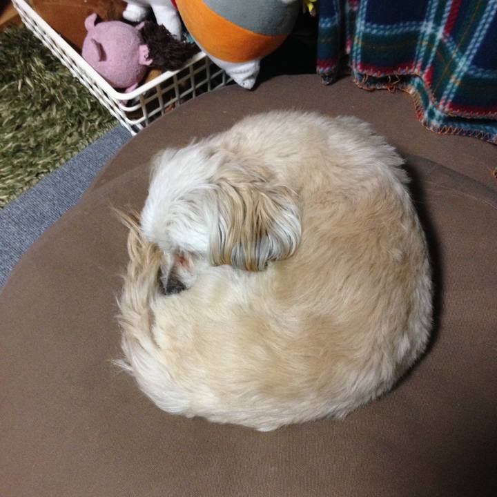 76484495 681f 411c a55a 95ea26d3a4ea