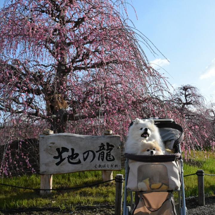 764864ec 2c51 428d 9987 4a4bb506a794