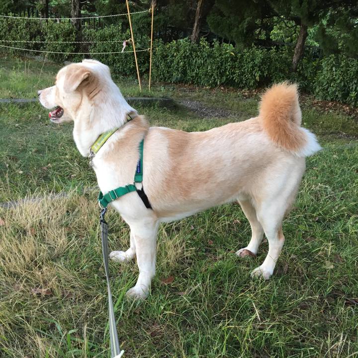 764914da 8e1d 4c61 8973 9e458e47c2a4