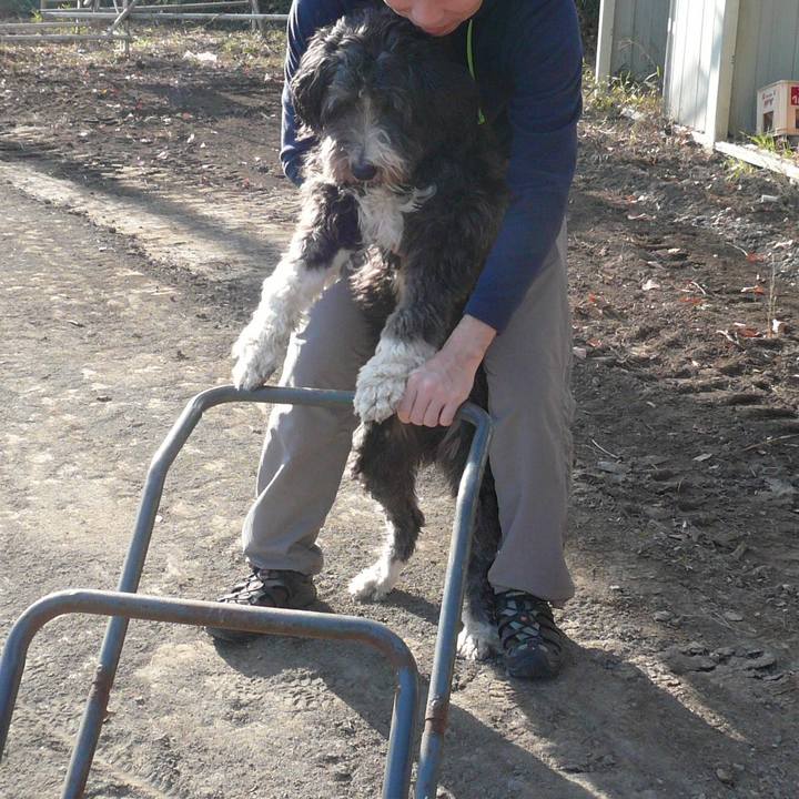 76491ee9 2b92 49fa 926b 484da55bcf0b