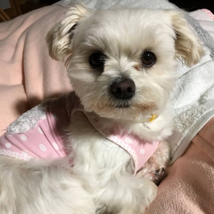 76496580 c5b4 4523 a483 b1424f48d842