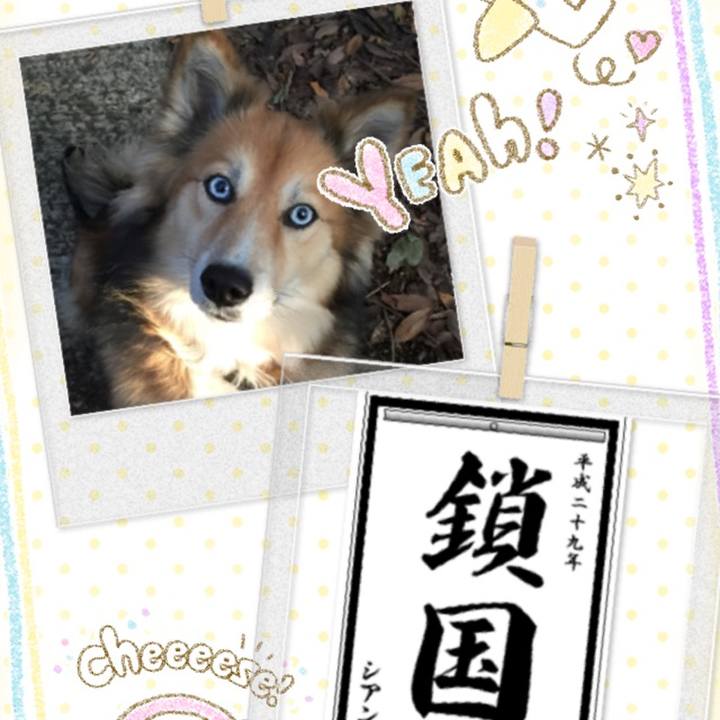 7649af43 0c72 45f3 91b7 b7d5bfb1cade