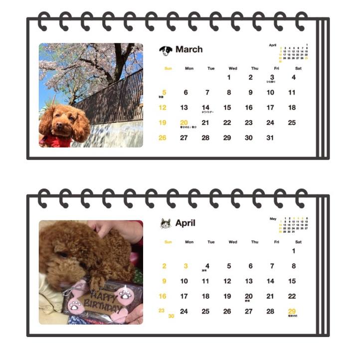 764acd8e de7b 452d 8991 663c2d53bda0