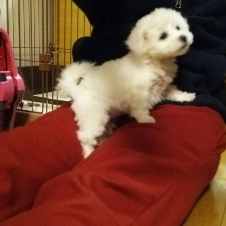 764ae20c 7f6f 47db 9fc8 591343b3793e