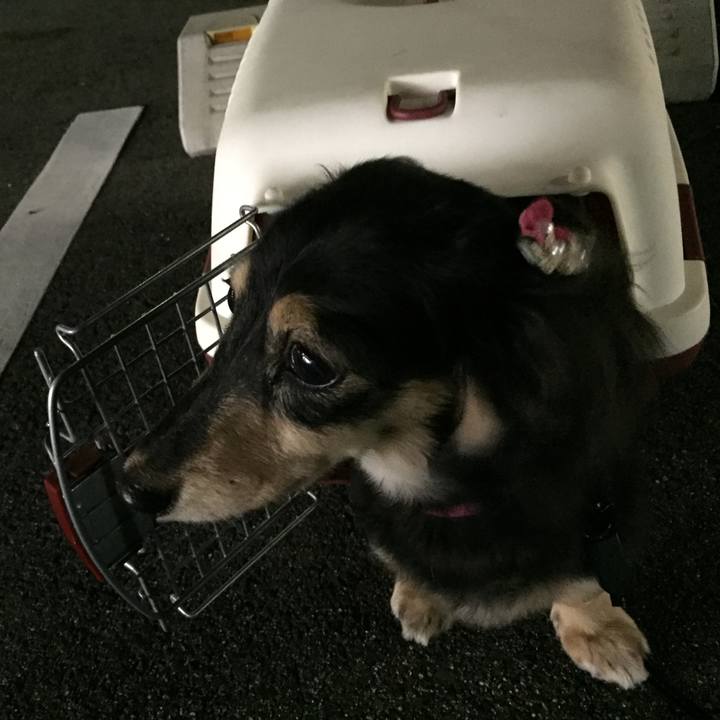 764b45e6 4187 47f6 b6b5 4f0cc8f0c17b