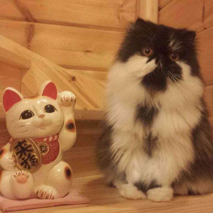 764c83c0 57d1 4b44 8a1f 2c8f90ba359f