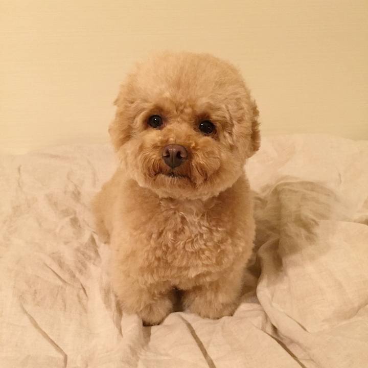 764cfa24 a73c 45fe a477 92abf0a16c42