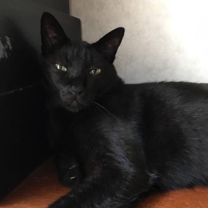 764d6bcb e74f 43f3 926b b5efeb587626