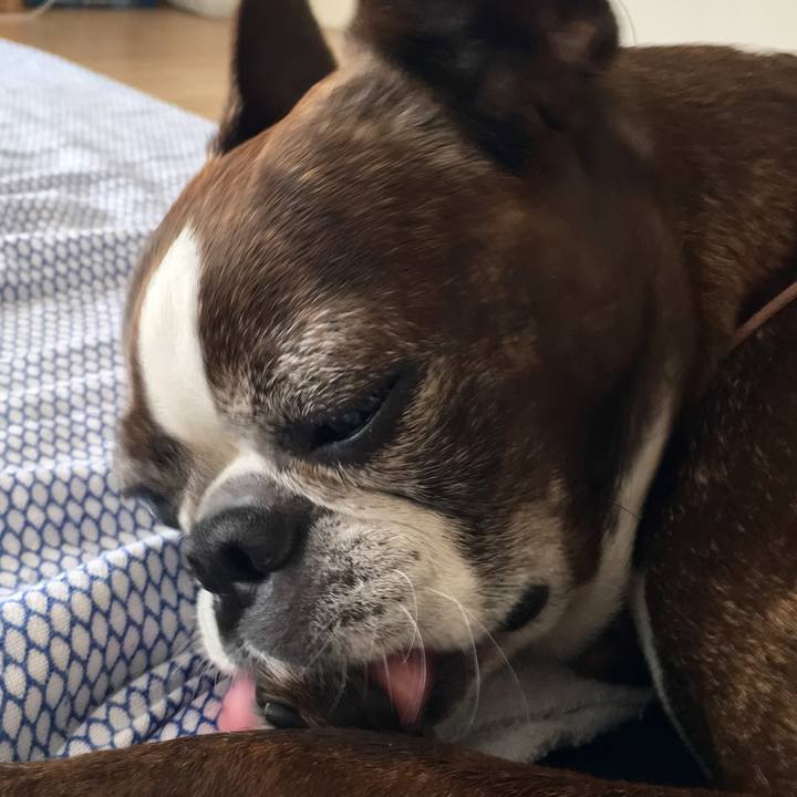 764e9a54 0620 495d b224 e5f127d2415a