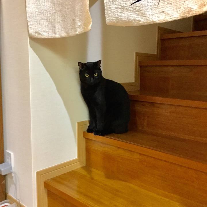 764ede6a 3b17 44ed a45b 60a2660a3803