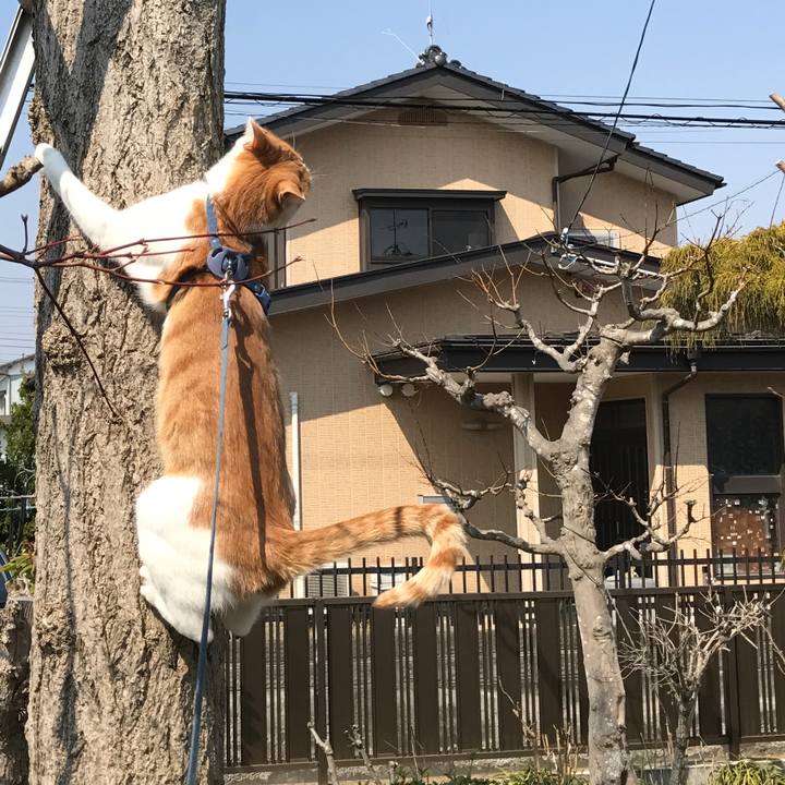 764f7643 833a 4bbe 921c 327ff2014017