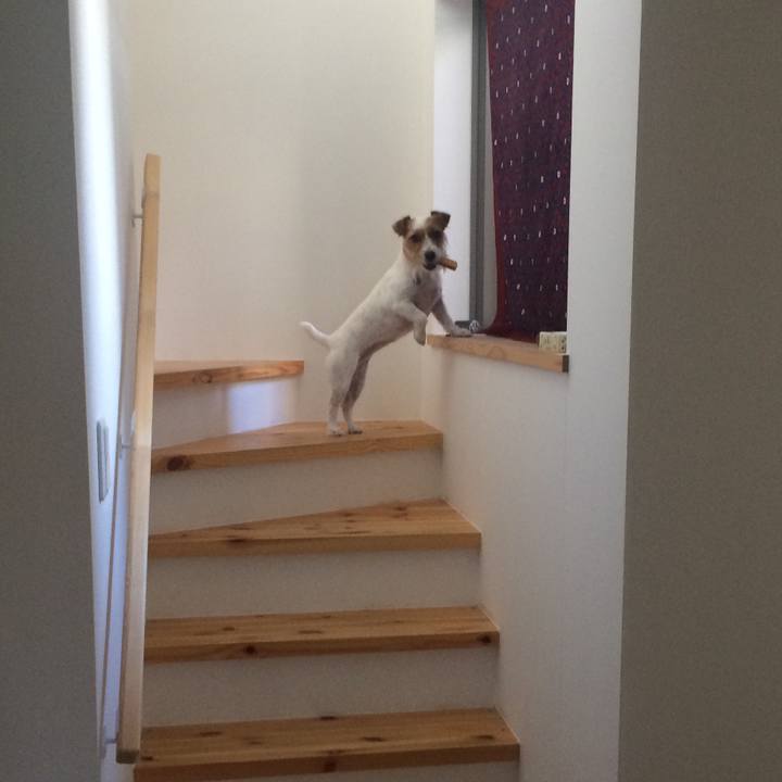 764ffe57 581c 41b1 85cb 8db8f45b46a2