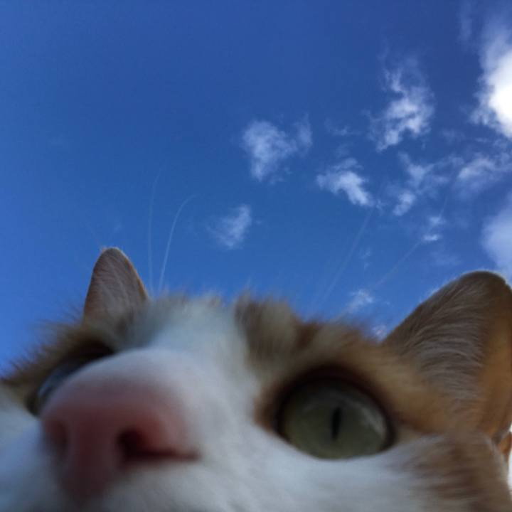 76501ed0 6a59 4963 bc87 934cc024f510