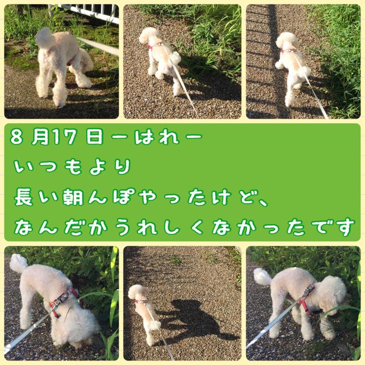 7650238c e21b 4681 b434 e9e40e8c4ee0