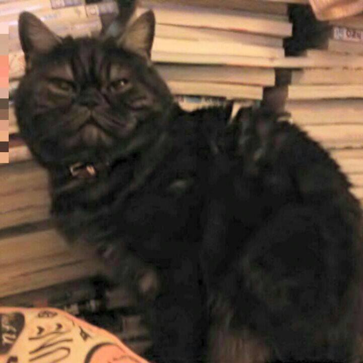 7650b9ab 5d33 4be4 a51e 76a6a8d2cc6f