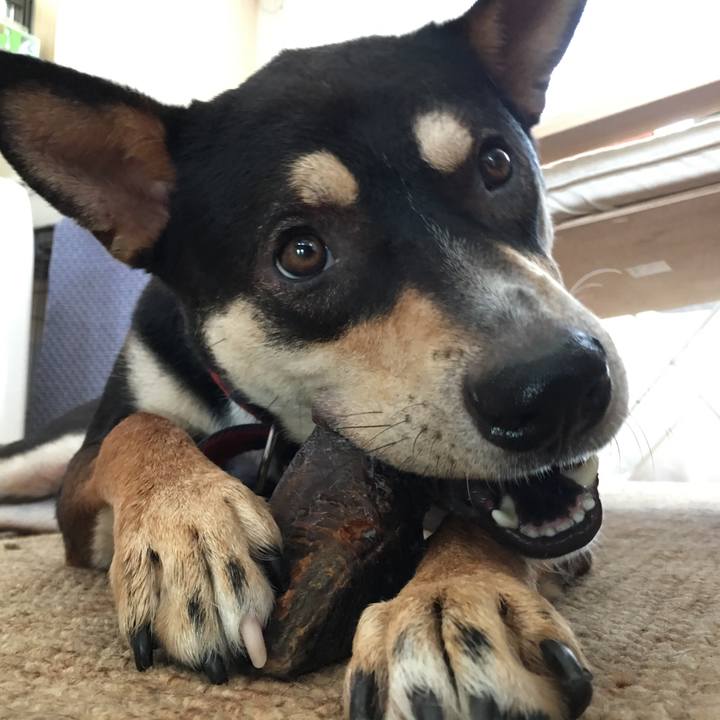 7650fcdb 1af3 46ea 80d5 055807d93743