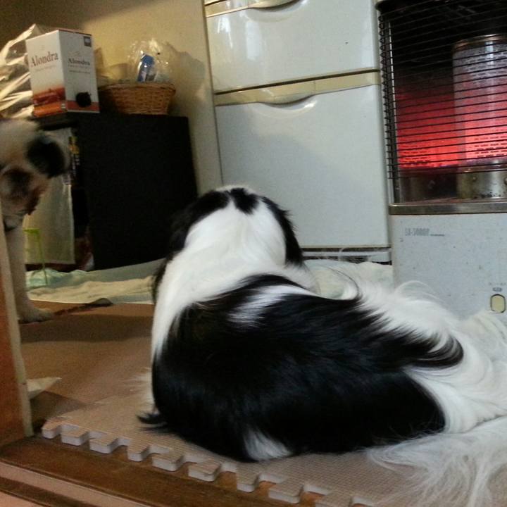 76511b9f b85b 4954 8ca2 b322d6d97786