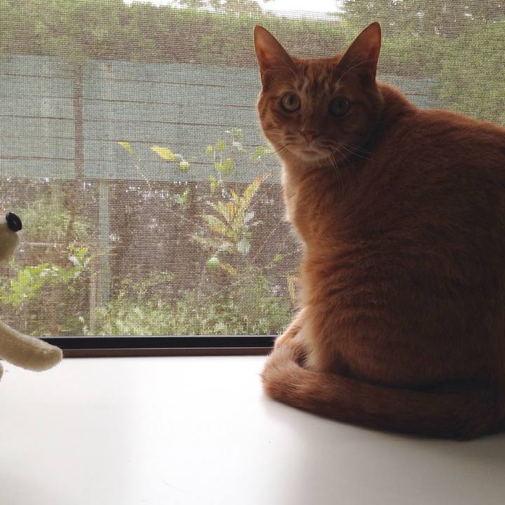 76514f3a d5e6 4241 a6e2 d3f510f354e9